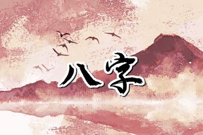 如何阅读一份排盘