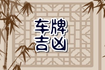 数字化号码参考用法