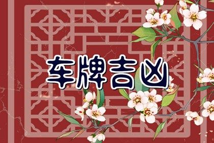 号码吉凶是什么