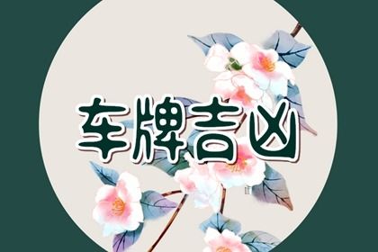 数字化号码参考用法