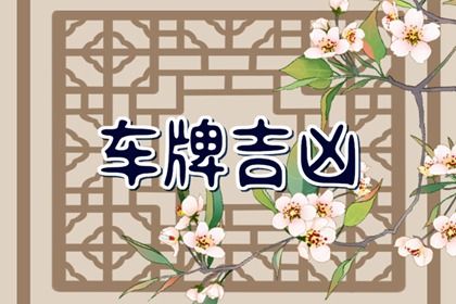 车牌数字解读