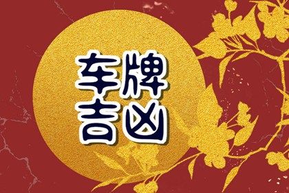 如何读本页结果
