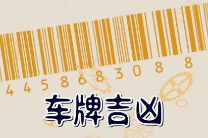 在线号码查询怎么看
