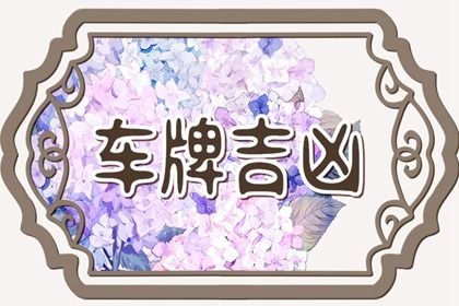 车牌数字解读