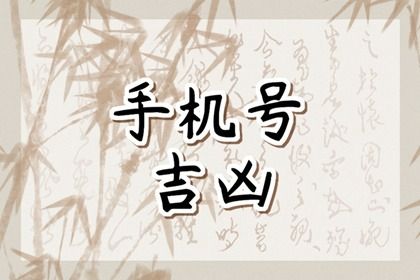在线号码查询怎么看