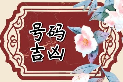 五行与选号