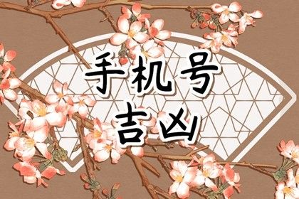 数理分如何理解