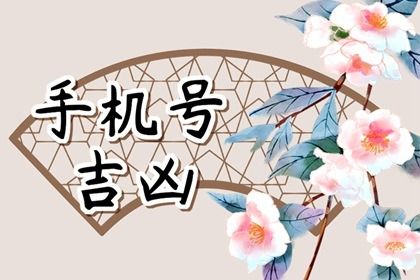 号码吉凶是什么