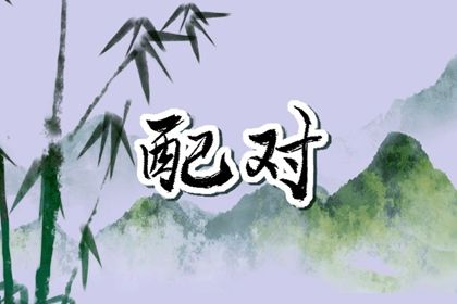 血型与性格标签