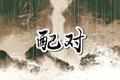 现代婚恋中的合婚角色