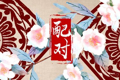 姻缘模板,婚姻八字合婚,三元配对婚姻