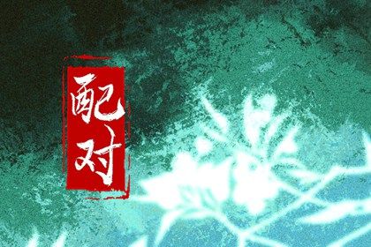 姓名配对在合婚中的位置