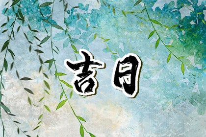 易朴排盘 四柱八兔费排盘 八字八卦排盘