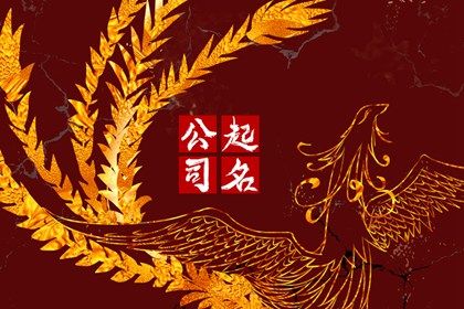 示例命局怎么用