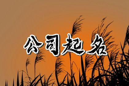 起名在做什么？