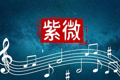 数字化紫微参考用法
