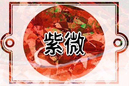 数字化紫微参考用法