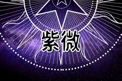 十二宫参考格用法