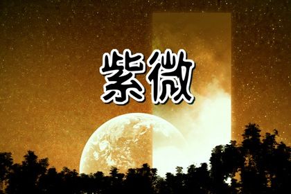 宫位名称速览