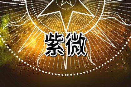 十二宫结构